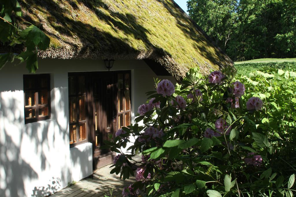 Villa Denderi à Rubene Chambre photo